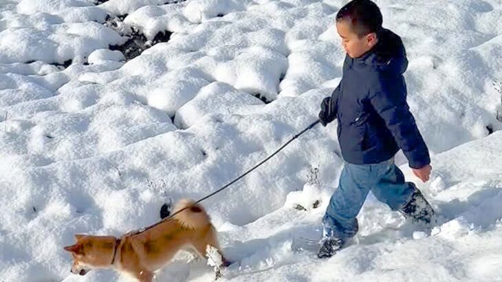 雪の中で子犬を散歩する男の子→突然引っ張られてしまい…微笑ましすぎる『まさかのハプニング』に反響「わかるｗ」「リード離さないお兄ちゃん偉い」(ブログ)