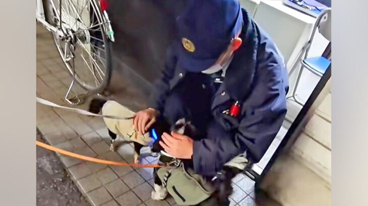 散歩帰りに『大好きなお巡りさん』を発見した犬→交番で見せた『パトロールのご報告』が可愛すぎると11万再生「平和な世界」「なんて素敵なの」(ブログ)