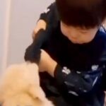 男の子と遊ぶ『小さな子犬』→2年後の『完全に立場が逆転した光景』が30万再生「こんなにデカくなるのｗ」「大型犬の良さ」と絶賛の声(ブログ)