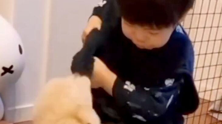 男の子と遊ぶ『小さな子犬』→2年後の『完全に立場が逆転した光景』が30万再生「こんなにデカくなるのｗ」「大型犬の良さ」と絶賛の声(ブログ)