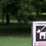 犬のウンチを道に放置する『4つのリスク』絶対NGな理由や適切な処理まで(ブログ)