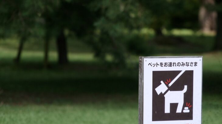 犬のウンチを道に放置する『4つのリスク』絶対NGな理由や適切な処理まで(ブログ)