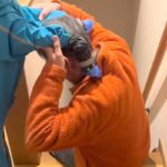 『人かと思ったｗｗ』階段でパパに抱っこされていたのは…もはや人間の子どもな『まさかの正体』が5万再生「服だけ見たら人ｗｗ」「癒される」(ブログ)