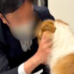 『臭いから、犬なんて絶対に飼わない』と言う旦那→半年かけて洗脳した結果…『まさかの溺愛』が13万再生「沼にハマったｗｗ」「素敵なパパ」(ブログ)