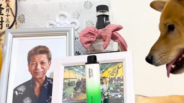 おじいちゃんが亡くなり悲しんでいたら、犬が遺影の横で…思わずもらい泣きしてしまう光景が17万再生「愛されてたんだね」「見ていて涙が出た」(ブログ)