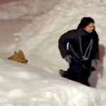 北海道の豪雪で交通網も麻痺している最中、男性と大型犬が…『全力で楽しんでいる光景』が素敵すぎると628万再生「良いコンビ」「兄弟みたい」(ブログ)