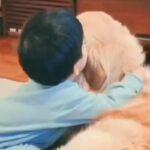 小さな男の子が大型犬と一緒に過ごした結果→3歳で『僕の弟』と言い出して…あまりにも尊い成長記録が46万再生「仲良し兄弟だ」「ほっこり」(ブログ)