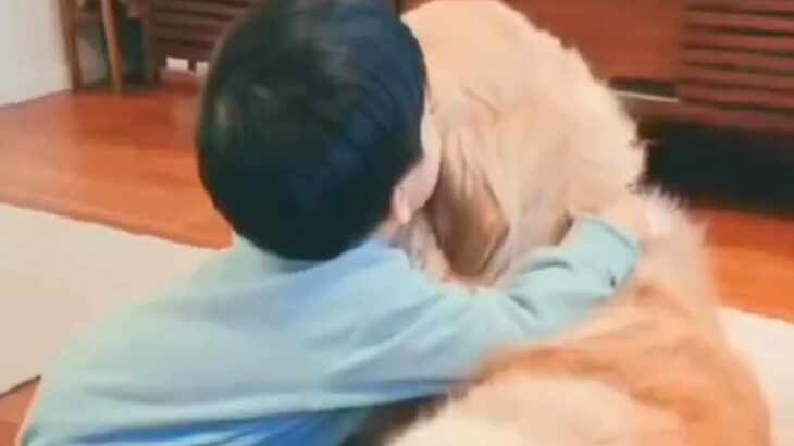 小さな男の子が大型犬と一緒に過ごした結果→3歳で『僕の弟』と言い出して…あまりにも尊い成長記録が46万再生「仲良し兄弟だ」「ほっこり」(ブログ)