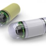 犬の胃の中の異物発見に有用！カプセル内視鏡という「新技術の研究結果」を獣医が解説(ブログ)