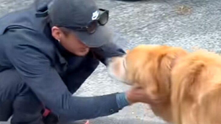 他県から工事のためにやってきた『作業員の男性たち』→散歩中の大型犬が…何度も見たくなる『尊い光景』に反響「大好きなんだね」「羨ましい…」(ブログ)