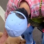 犬の散歩をしていたら、『焼き芋屋さんのおじさん』が…優しい世界すぎる『まさかの光景』が47万再生「なんて粋なおじさま」「犬好きが伝わる」(ブログ)