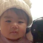 赤ちゃんのことが大好きな犬→7年後…大きくなっても変わらない『関係性』が素敵すぎると12万再生「かわいいの渋滞」「優しいお兄ちゃん」(ブログ)