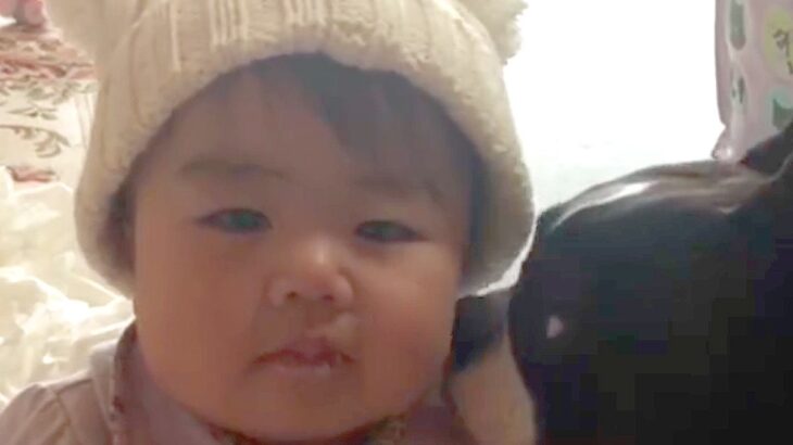 赤ちゃんのことが大好きな犬→7年後…大きくなっても変わらない『関係性』が素敵すぎると12万再生「かわいいの渋滞」「優しいお兄ちゃん」(ブログ)