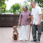 人は高齢でも犬を飼うことができる？愛犬を不幸にさせないために知っておくべきことまで(ブログ)