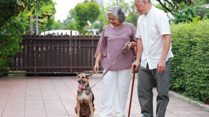 人は高齢でも犬を飼うことができる？愛犬を不幸にさせないために知っておくべきことまで(ブログ)