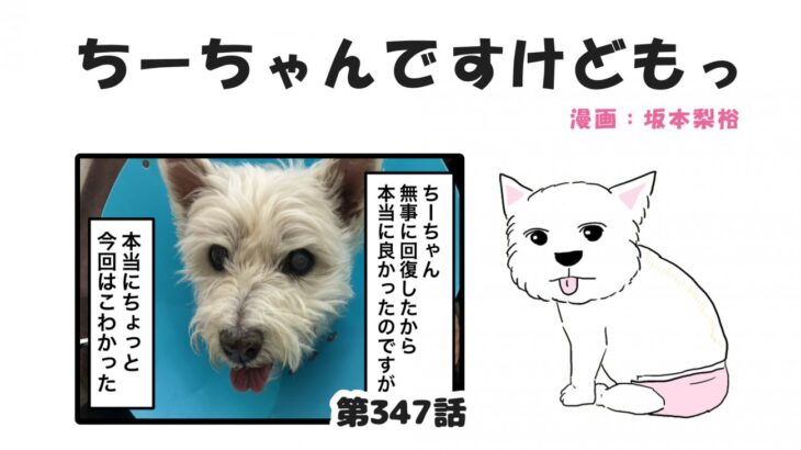 ちーちゃんですけどもっ【第347話】「ちーちゃんはちーちゃん」(ブログ)