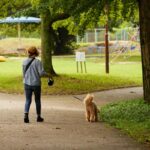 犬の『リード』伸縮タイプはよくないの？主なデメリットや危険を回避するために知っておくべきことまで(ブログ)