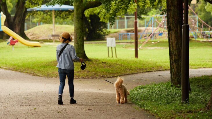 犬の『リード』伸縮タイプはよくないの？主なデメリットや危険を回避するために知っておくべきことまで(ブログ)
