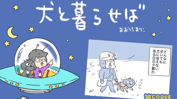 犬と暮らせば【第528話】「犬たちのホントのところ」(ブログ)