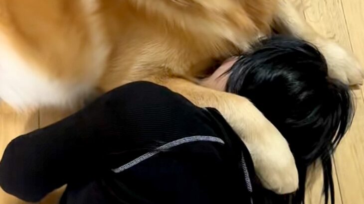 娘が『一番大事な帽子』を無くしたので、叱った結果→説教中に大型犬が庇って…許すしかない『表情』が6万再生「怒れないｗｗ」「歯がｗ」(ブログ)