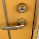 １週間ぶりに帰宅→ドアを開けて『ただいま』と言うと、犬がお出迎えしてくれて…想像以上の熱烈歓迎に反響「嬉しいが止まらない」「泣けてきた」(ブログ)