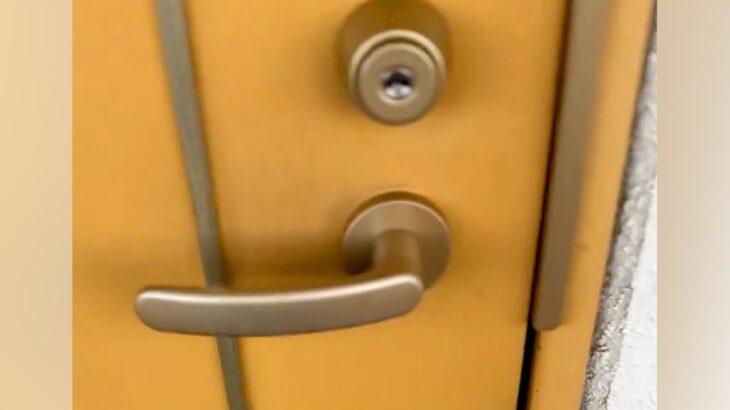 １週間ぶりに帰宅→ドアを開けて『ただいま』と言うと、犬がお出迎えしてくれて…想像以上の熱烈歓迎に反響「嬉しいが止まらない」「泣けてきた」(ブログ)