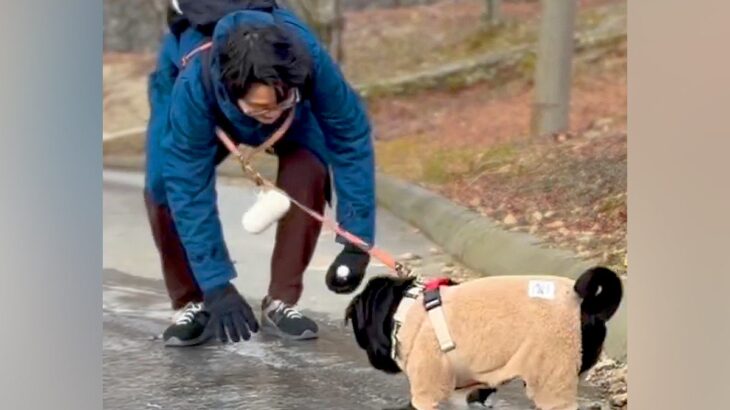 凍った地面の上を歩こうとする男性と犬→もはやコントな『ハプニング』に570万再生の反響「スィーｗｗおもろすぎるｗｗ」「飼い主が危機で草」(ブログ)