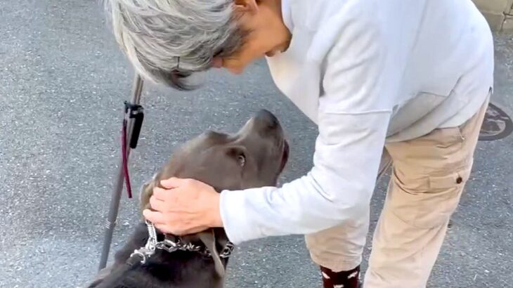 散歩中、杖をついた通りすがりのおばあちゃんと遭遇→大型犬に近付いて…『お話をする光景』があまりにも尊いと反響「優しい世界」「涙が出る」(ブログ)