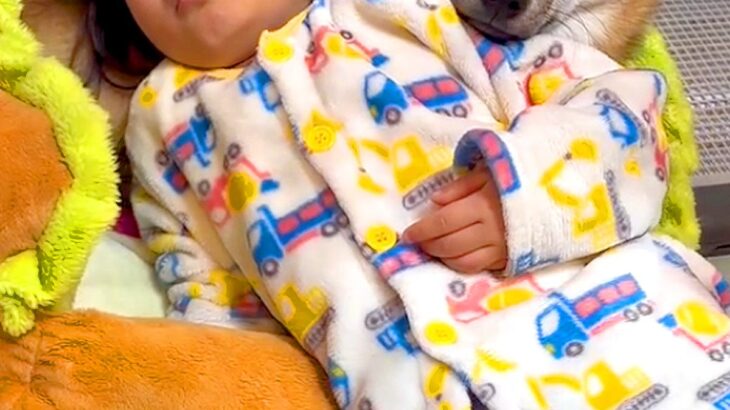 朝、起きたばかりの小さな女の子→なぜか『犬のベッド』に向かって…尊すぎる光景が13万再生「お互いに枕にｗｗ」「なんて可愛いの」と絶賛(ブログ)