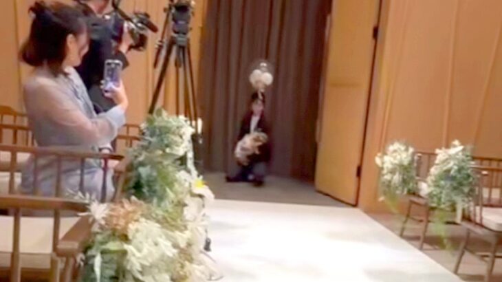 犬が結婚式で『リングドッグ』に挑戦→成功したと思ったら、大好きなお友達を発見して…『まさかの展開』に反響「あららｗｗ」「可愛すぎる」(ブログ)