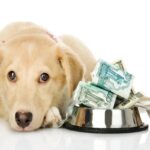 『犬にかかる費用』とは？節約しすぎてはいけない出費や必要なお金の内訳まで(ブログ)