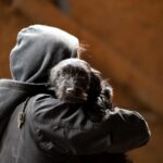 犬が『誘拐されるかもしれない』危険な場所5つ　飼い主が必ず知っておくべき防止策とは？(ブログ)