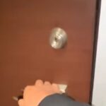 『犬を飼うと寄り道できなくなる理由』帰宅時、玄関のドアを開けた瞬間に…愛が溢れすぎてる『再会の光景』に悶絶「熱烈ｗｗ」「たまりません」(ブログ)