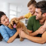 犬に苦痛を与える『親バカ行為』4選　良かれと思ってやっていることが逆効果となることも⋯(ブログ)