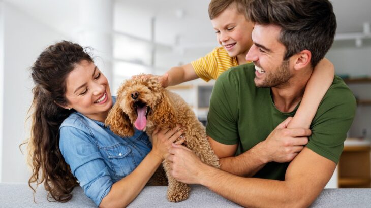 犬に苦痛を与える『親バカ行為』4選　良かれと思ってやっていることが逆効果となることも⋯(ブログ)