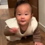 ハイハイをする赤ちゃんに『おいでおいで』と声をかけた結果→「通りすぎてったｗ」「いいコンビ」思ってたのと違う『まさかの光景』に爆笑の声(ブログ)