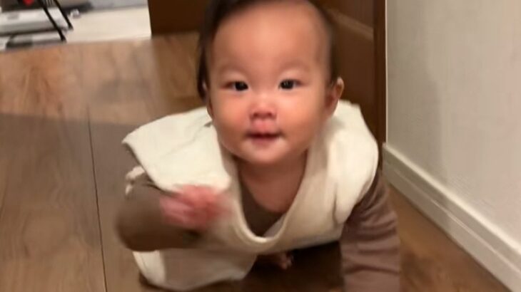 ハイハイをする赤ちゃんに『おいでおいで』と声をかけた結果→「通りすぎてったｗ」「いいコンビ」思ってたのと違う『まさかの光景』に爆笑の声(ブログ)