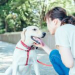 犬を落ち着かせる『声のかけ方』5つ　愛犬が興奮してしまう要因やしつけのポイントまで(ブログ)