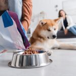ドッグフードを選ぶときに重視すべき点5つ　注目すべき成分や正しい与え方まで(ブログ)