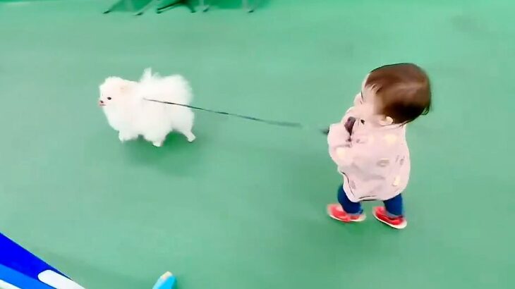 1歳の女の子が『犬の散歩』に挑戦した結果→まさかの『立場が逆転する光景』が可愛すぎると67万表示「家族愛ですね」「優しい」と絶賛の声(ブログ)
