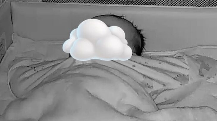 夜、寝静まった赤ちゃんに『忍び寄る影』が…カメラに映し出された『まさかの正体』が36万表示「遊びたいのかなｗ」「可愛くて笑った」と絶賛(ブログ)