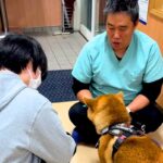 獣医師とケンカしている犬→『お姉さん』が現れた途端に…『まさかの診断結果』が下される瞬間が9万再生「反応の差ｗｗ」「分かりやすい」と爆笑(ブログ)