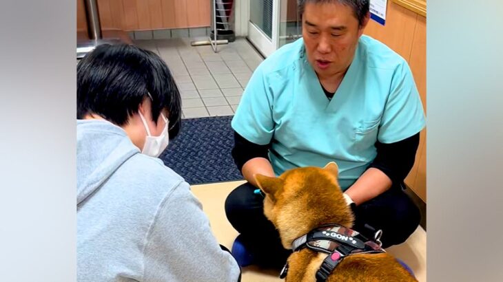 獣医師とケンカしている犬→『お姉さん』が現れた途端に…『まさかの診断結果』が下される瞬間が9万再生「反応の差ｗｗ」「分かりやすい」と爆笑(ブログ)
