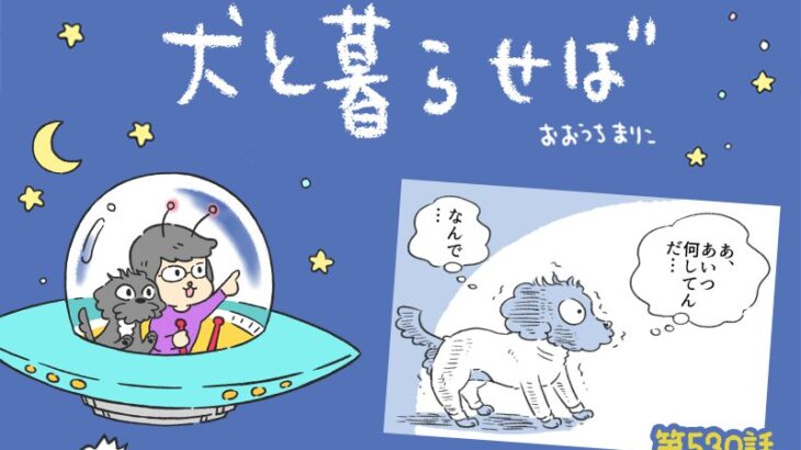 犬と暮らせば【第530話】「エマが理解しがたいこと」(ブログ)