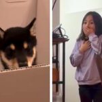 子どもたちに内緒で『子犬を飼った』結果→リビングで気が付いた瞬間…100点満点な『それぞれの反応』に反響「涙ぐんじゃうよね」「可愛すぎ」(ブログ)