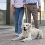 『シニア犬』が異常な食欲をみせる理由5つ　食欲旺盛なのは問題ないの？(ブログ)