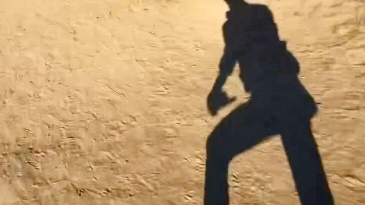 朝、ドッグランに行ったパパ→映像が送られてきて…想像と違った『まさかの光景』に8万いいねの大反響「死ぬほど笑った」「本気の息遣いで草」(ブログ)