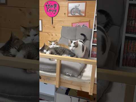 そこ、座りたいなぁ(YouTube)