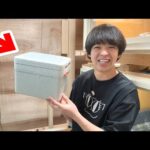 衝撃的な生き物がいたので…お迎えしました(YouTube)