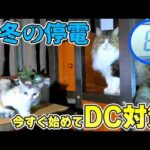 真冬に突然の停電…暖房停止で猫達は？極寒の夜とDC防災対策(YouTube)